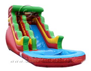 dolphin inflatable water slides